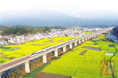 徐泽源摄(影像中国)图③:河南省商丘市睢县高新技术产业开发区电子